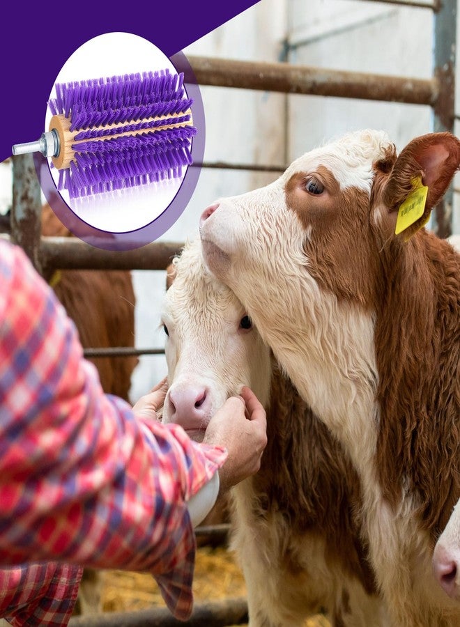 Willinglong 2 Pcs 5.35 inches Livestock Mini Drill Scratch Brush Purple Brush Grooming Kit Suitable for Cattle, Cows, Horses, Sheep and Pigs - Image 5